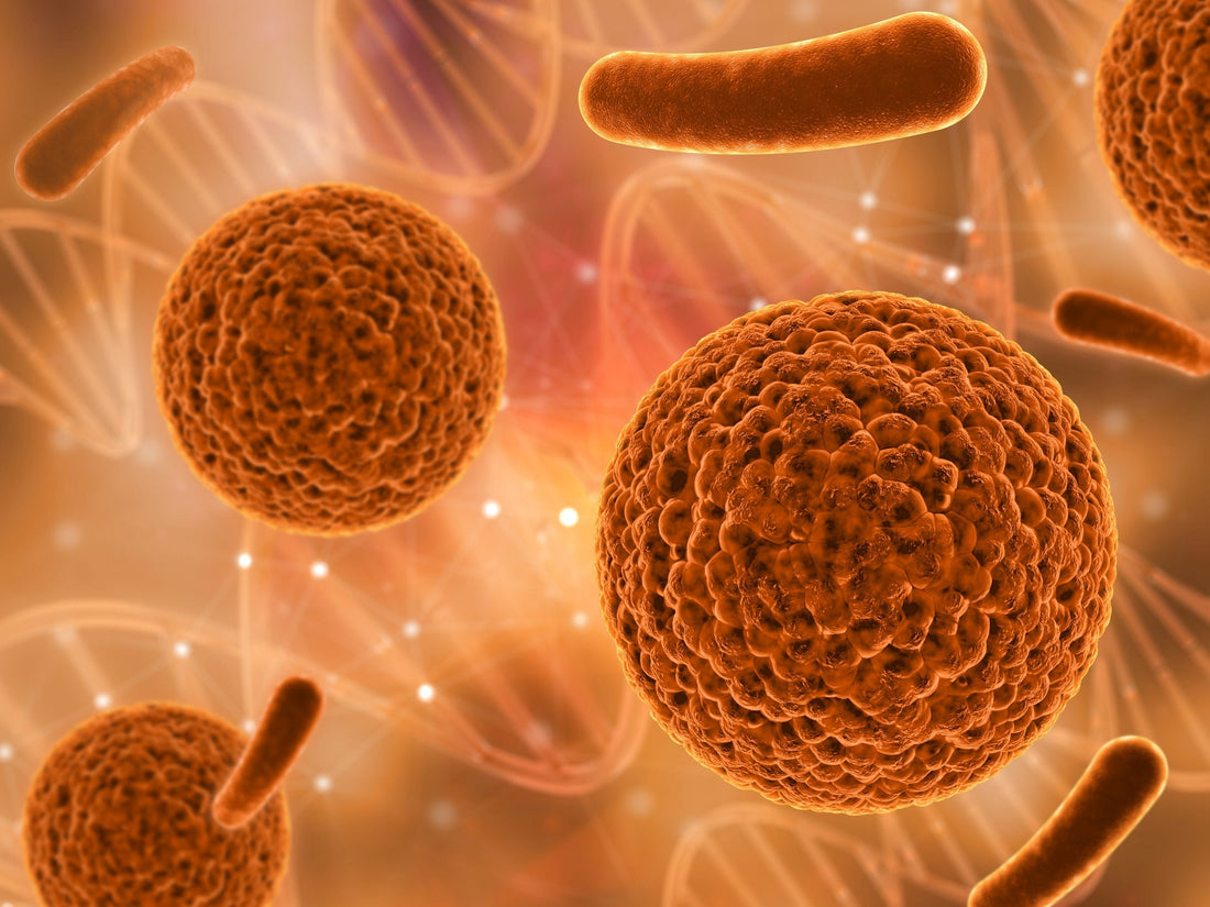 O papel invisível dos micronutrientes na longevidade.
