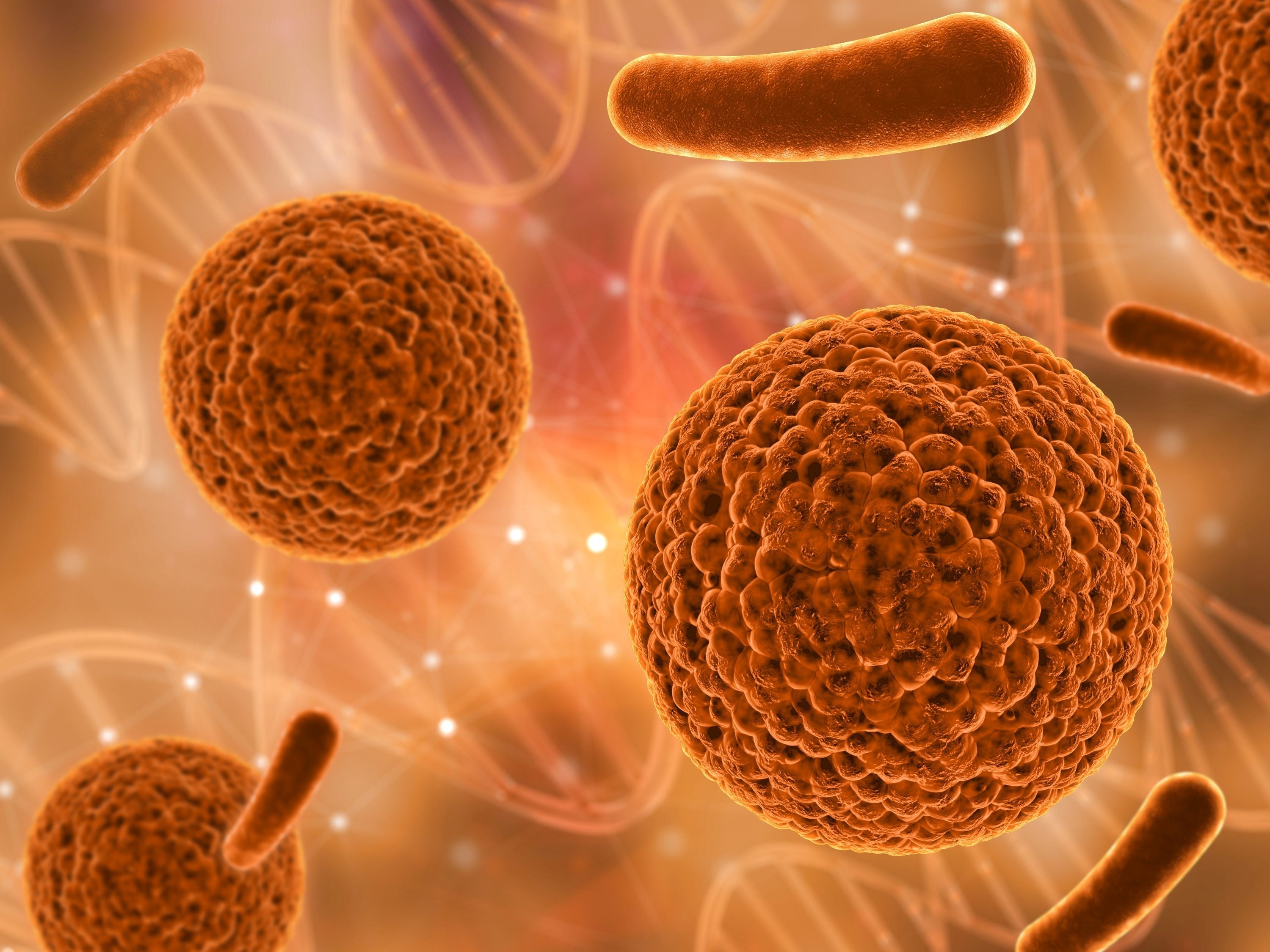 O papel invisível dos micronutrientes na longevidade.