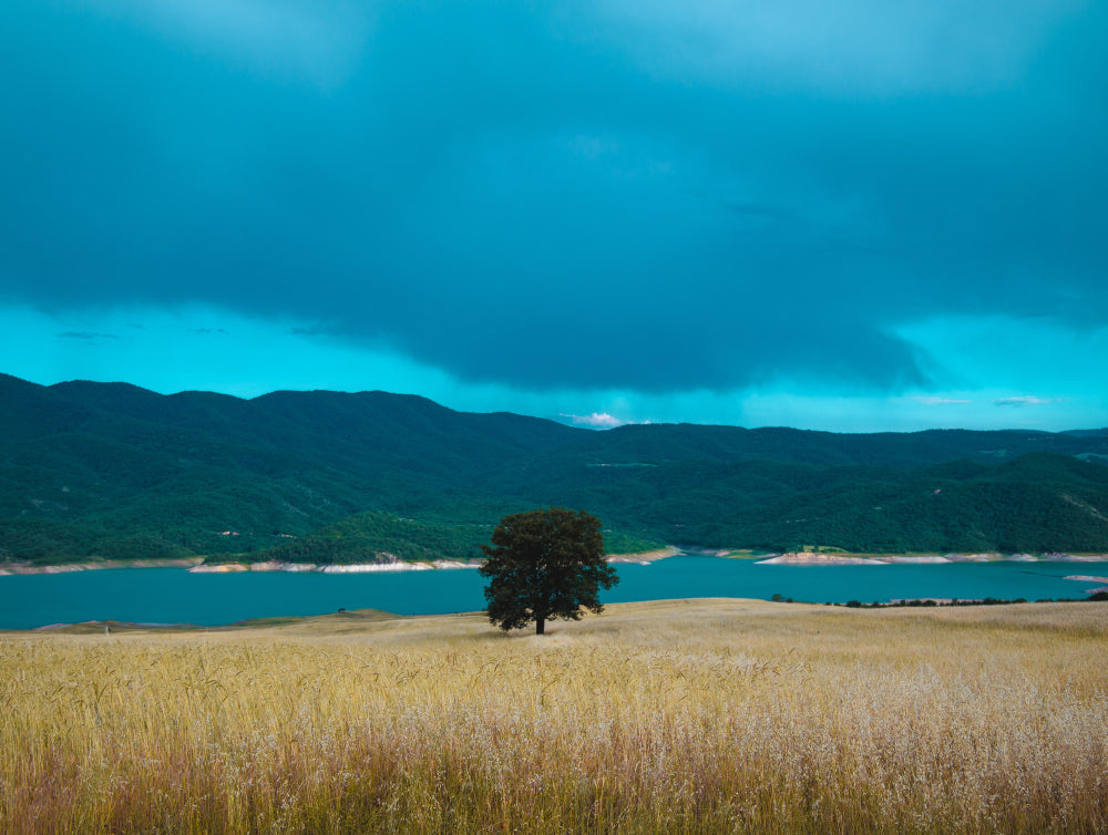 Zonas Azuis: os segredos da longevidade revelados