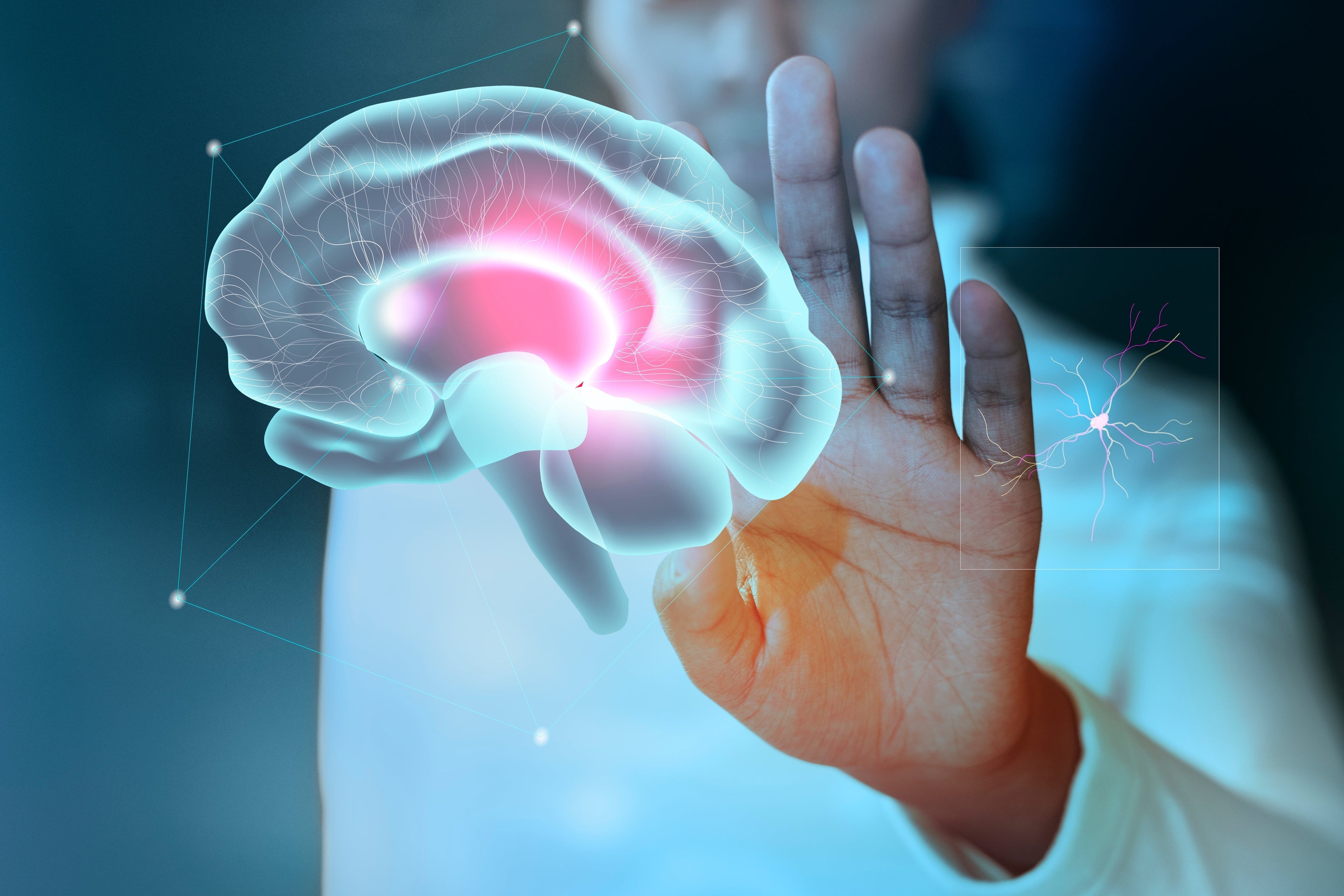 O “segundo cérebro”: como o intestino conversa com a mente