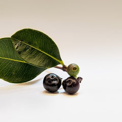 AÇAI