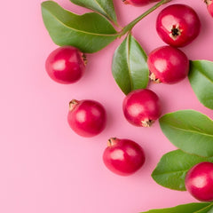 CRANBERRY