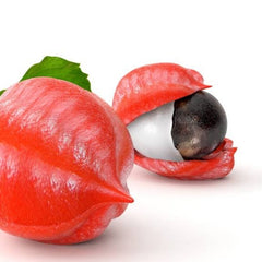 GUARANÁ